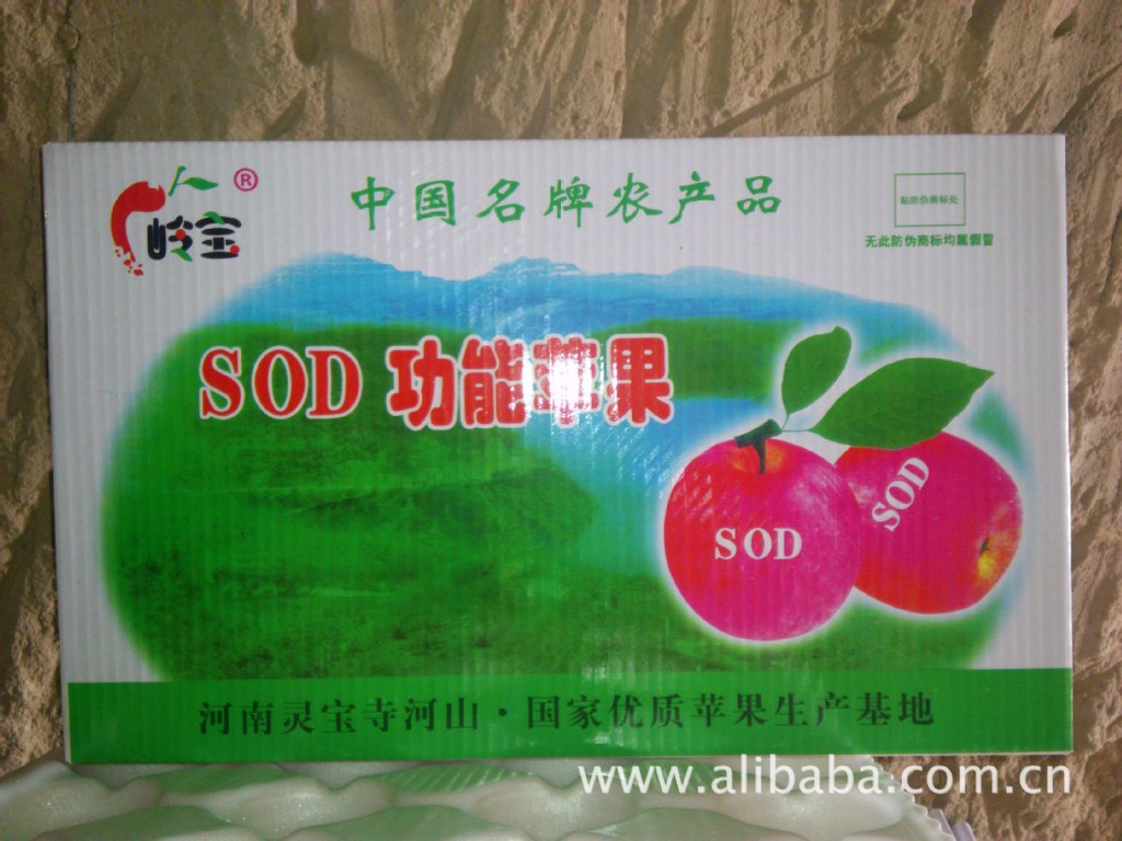 高山果園的饋贈(zèng) 綠色無(wú)公害紅富士蘋(píng)果，品質(zhì)與健康的承諾