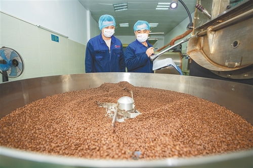 從田間到舌尖 海南農墾發力精深加工，讓土特產鏈上“新食尚”